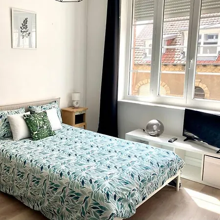 Elegant Renove