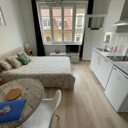 Elegant Studio Renove Apartment